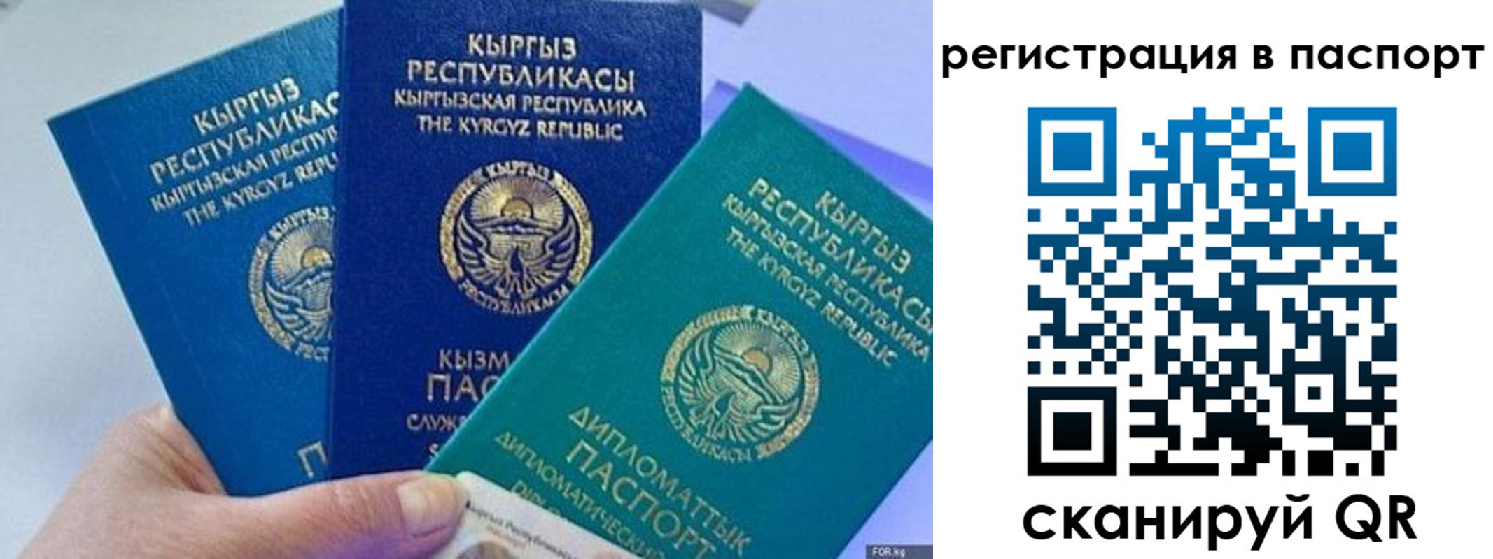 прописка 2025 в Таре